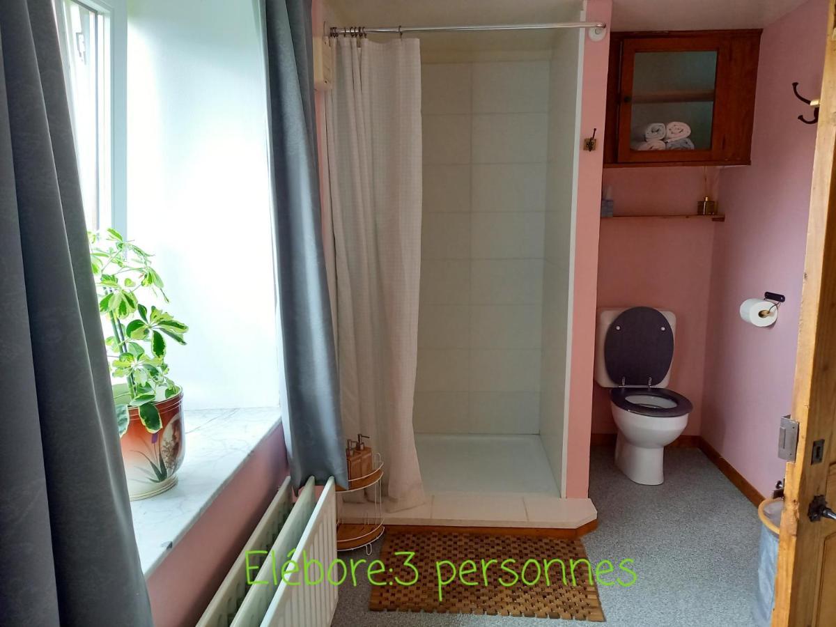 Le Wayai Appartement Sart-lez-Spa Buitenkant foto